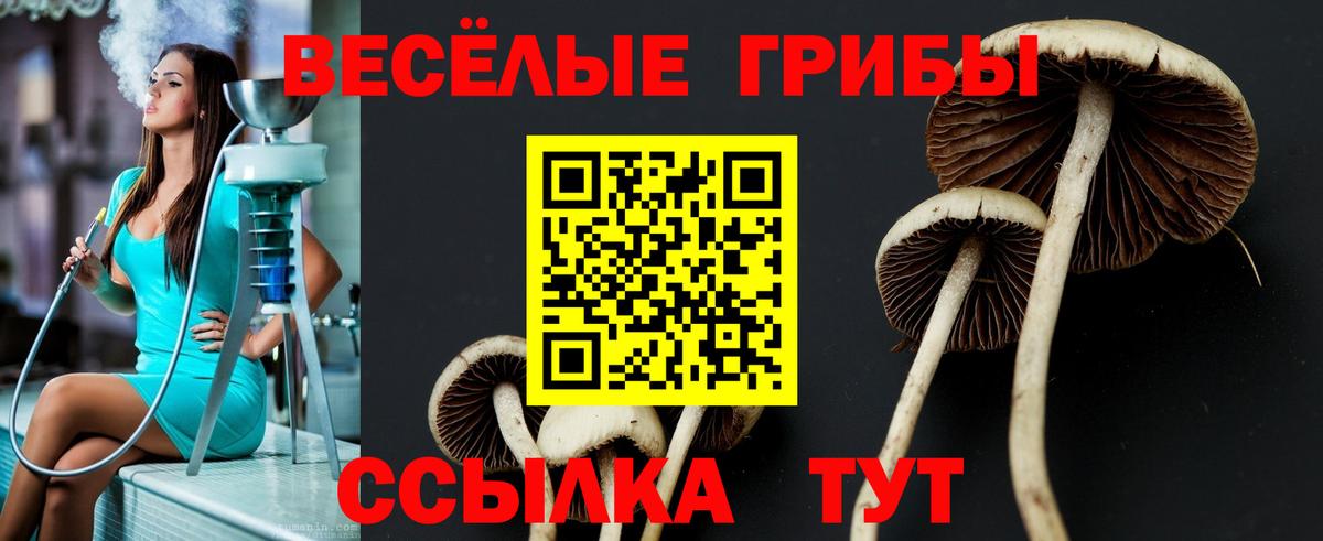 Галлюциногенные грибы мицелий  Вход с VPN  Псилоцибиновые грибы мицелий  Обнинск 